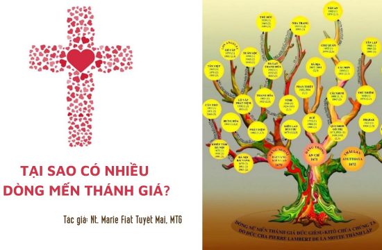 Tại sao có nhiều Dòng Mến Thánh Giá