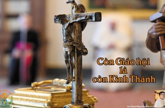 Còn Giáo hội là còn Kinh Thánh