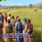 Thứ ba tuần XIV thường niên