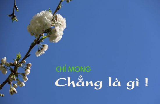 Chút sẻ chia của người đầy tớ: Chỉ mong chẳng là gì!