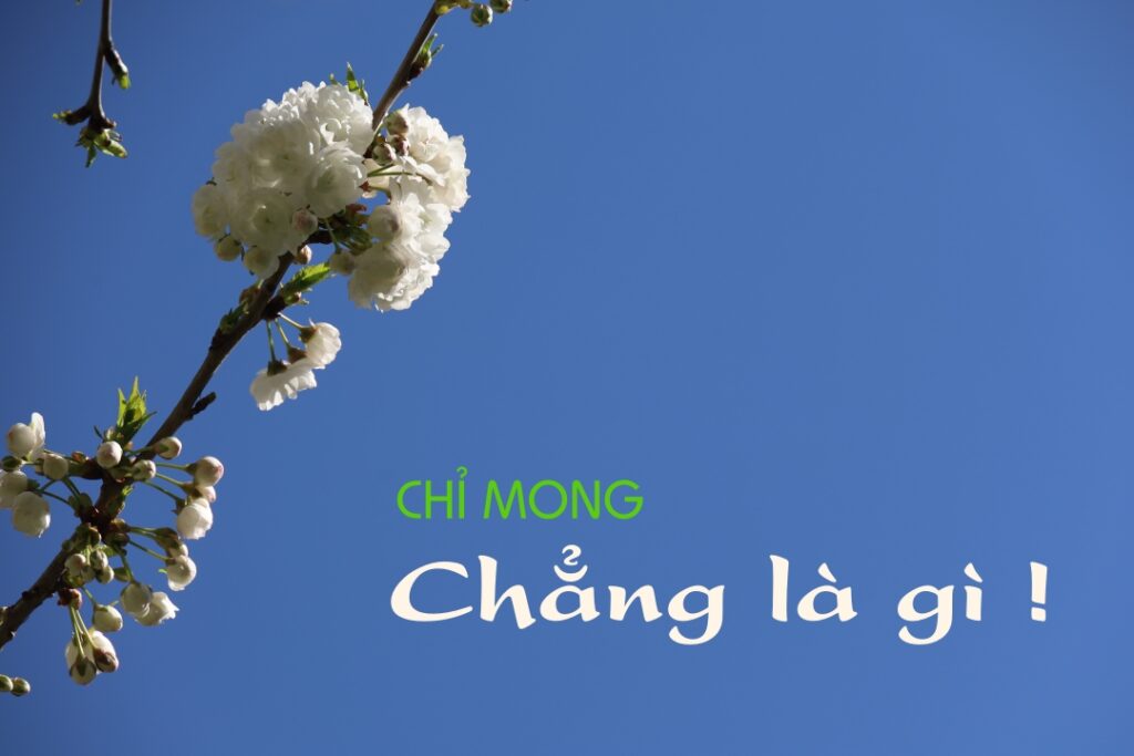 Chút sẻ chia của người đầy tớ: Chỉ mong chẳng là gì!