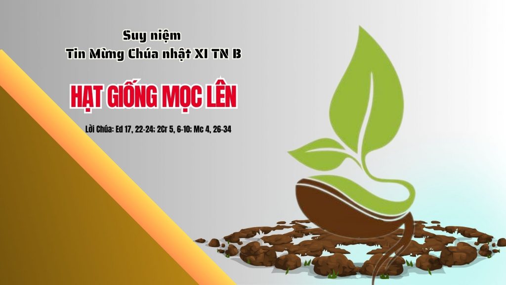 Suy niệm Tin Mừng Chúa nhật XI thường niên - Năm B