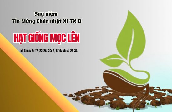 Suy niệm Tin Mừng Chúa nhật XI thường niên - Năm B