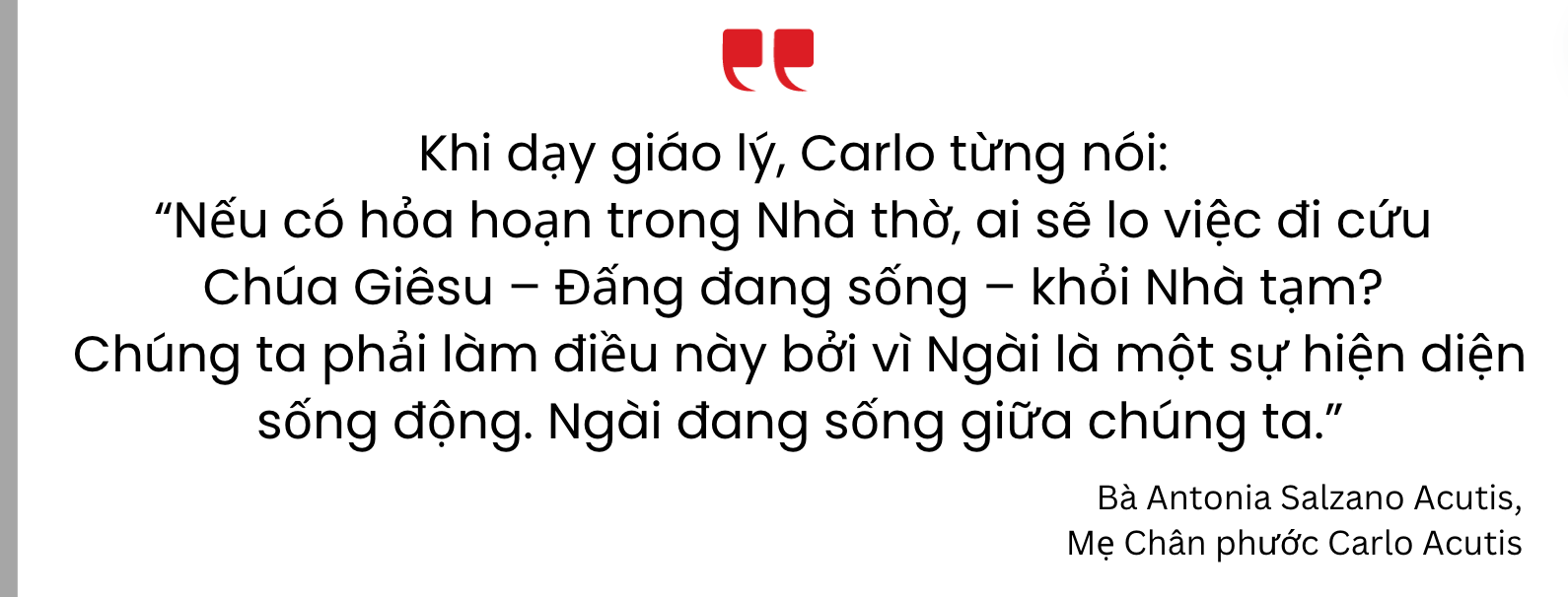 Phỏng vấn mẹ Chân phước Carlo Acutis – Kỳ 1: Mọi người đều có thể bước theo linh đạo của Carlo