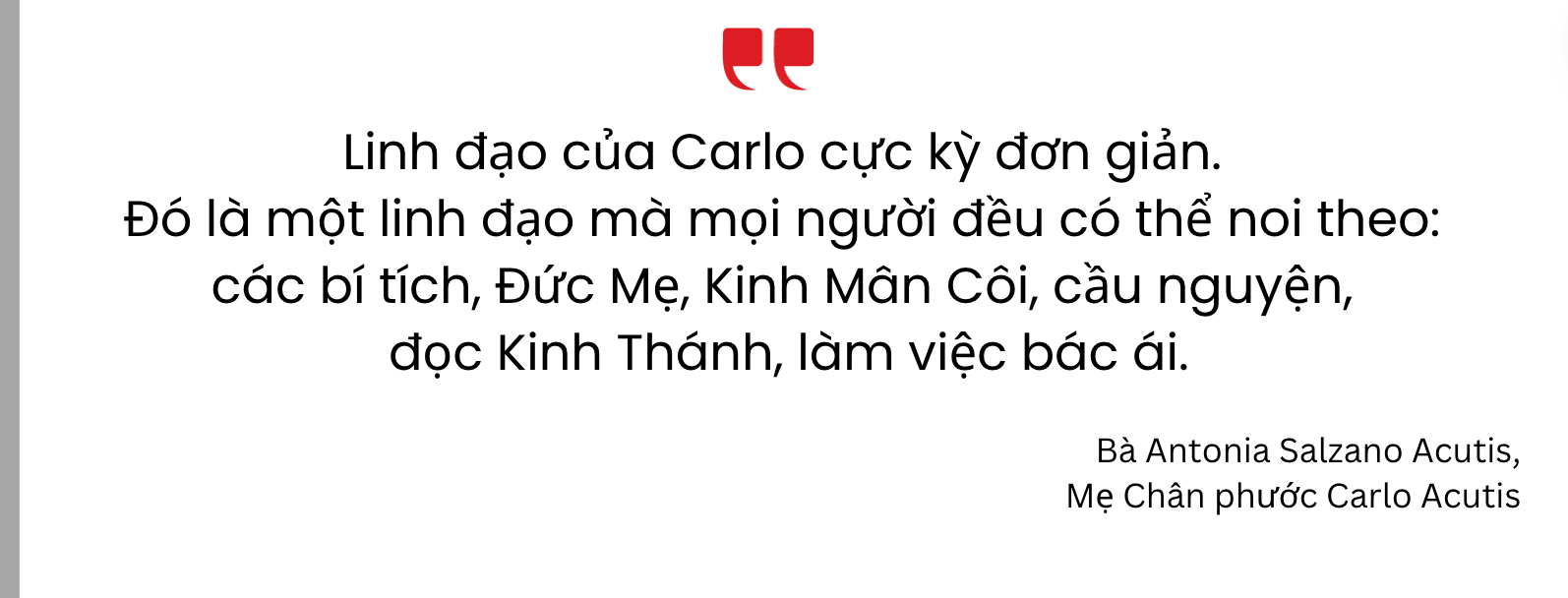 Phỏng vấn mẹ Chân phước Carlo Acutis – Kỳ 1: Mọi người đều có thể bước theo linh đạo của Carlo