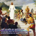 Thứ ba tuần XV thường niên