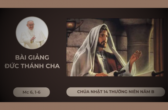 Bài giảng của Đức Thánh Cha - Chúa nhật XIV thường niên năm B