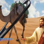 Thứ Ba tuần XX thường niên