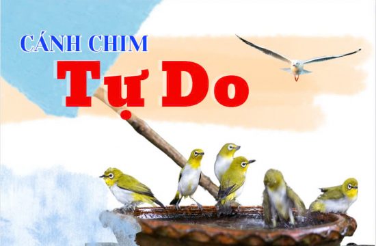 Cánh chim tự do