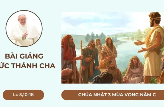 Bài giảng của Đức Thánh Cha - Chúa nhật III Mùa vọng