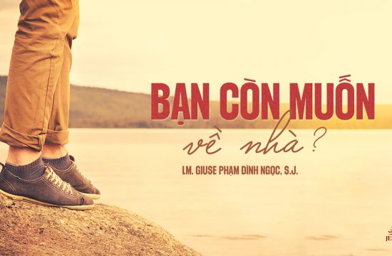 Bạn còn muốn về nhà?