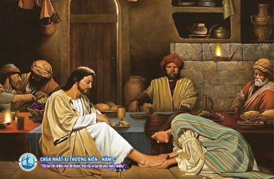 Chúa nhật XI thường niên - Năm C