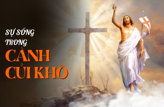 Sự sống trong cành củi khô