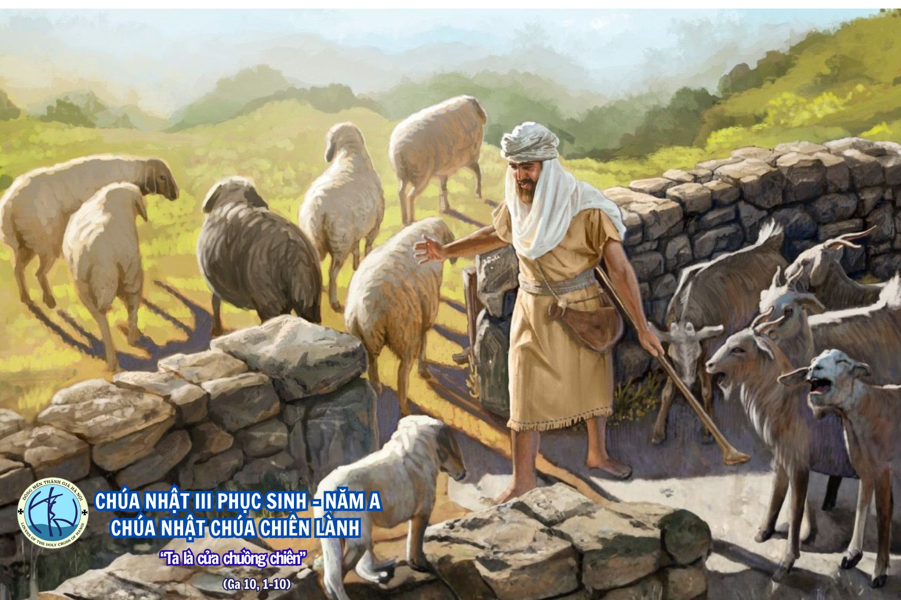 Chúa Nhật IV Phục Sinh A – Chúa Nhật Chúa Chiên Lành